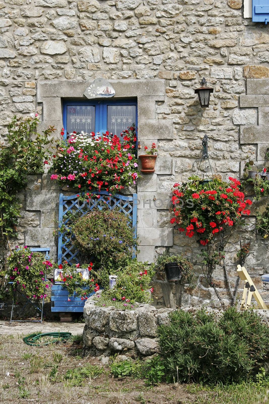 Plouharnel, house with blue windows and flowers, Brittany, North France.  Plouharnel, Haus mit blauen Fenstern und Blumen