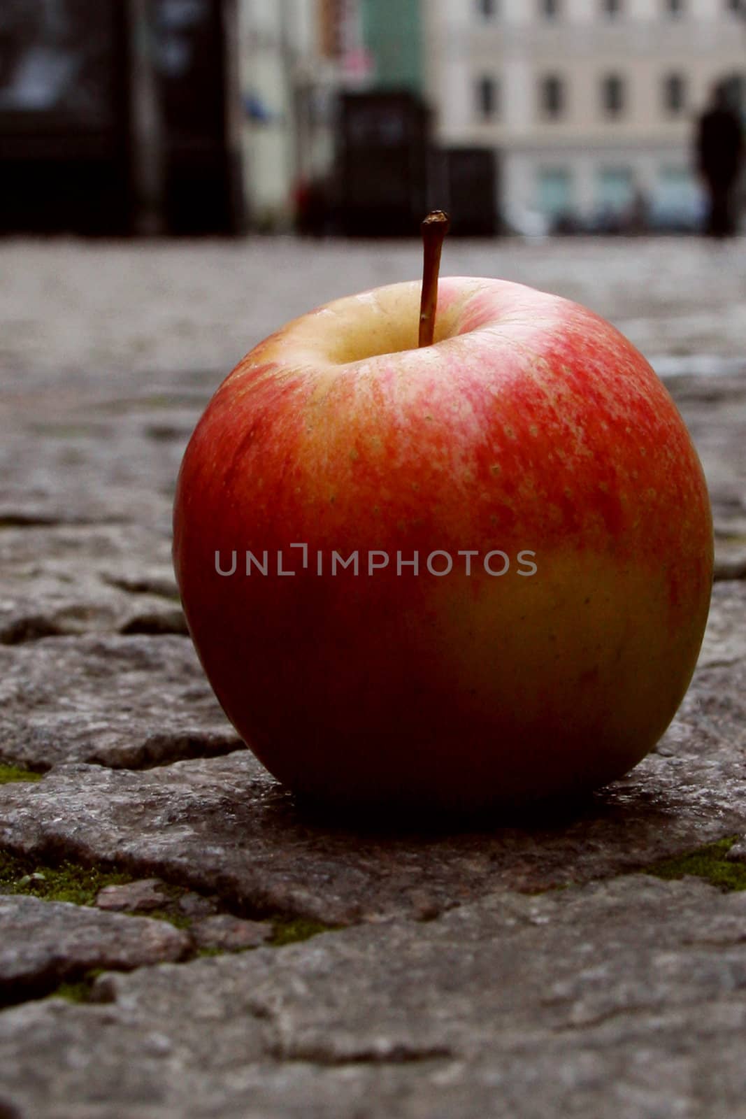 Red apple fallen to road to rainy day