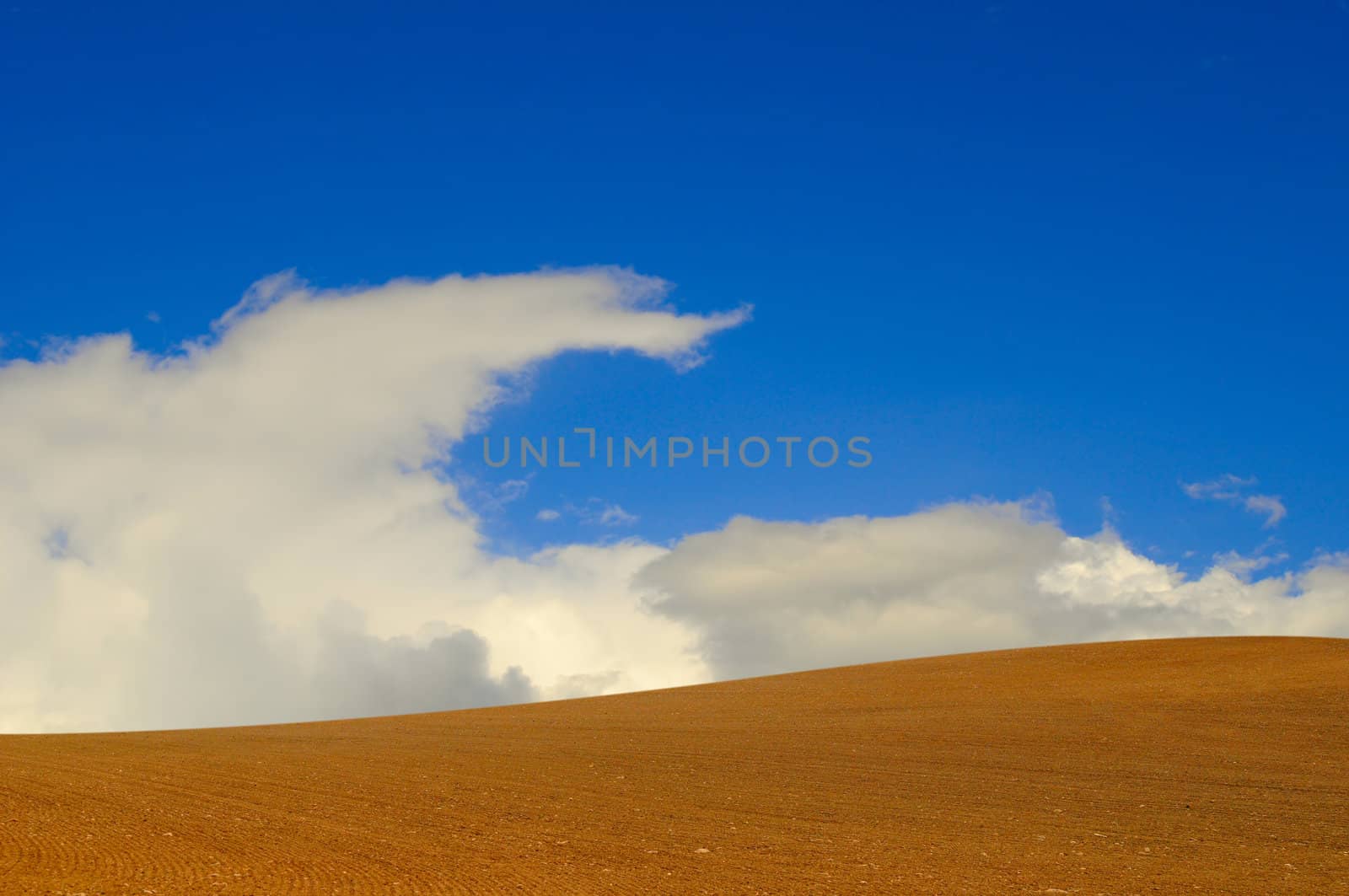 Blue sky and red dessert sand