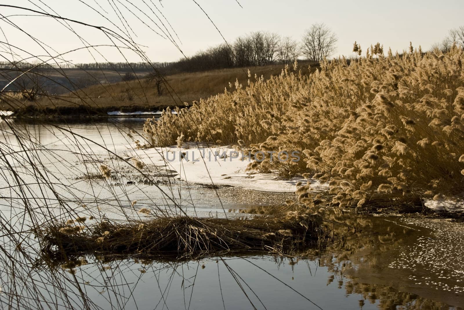 river in winter