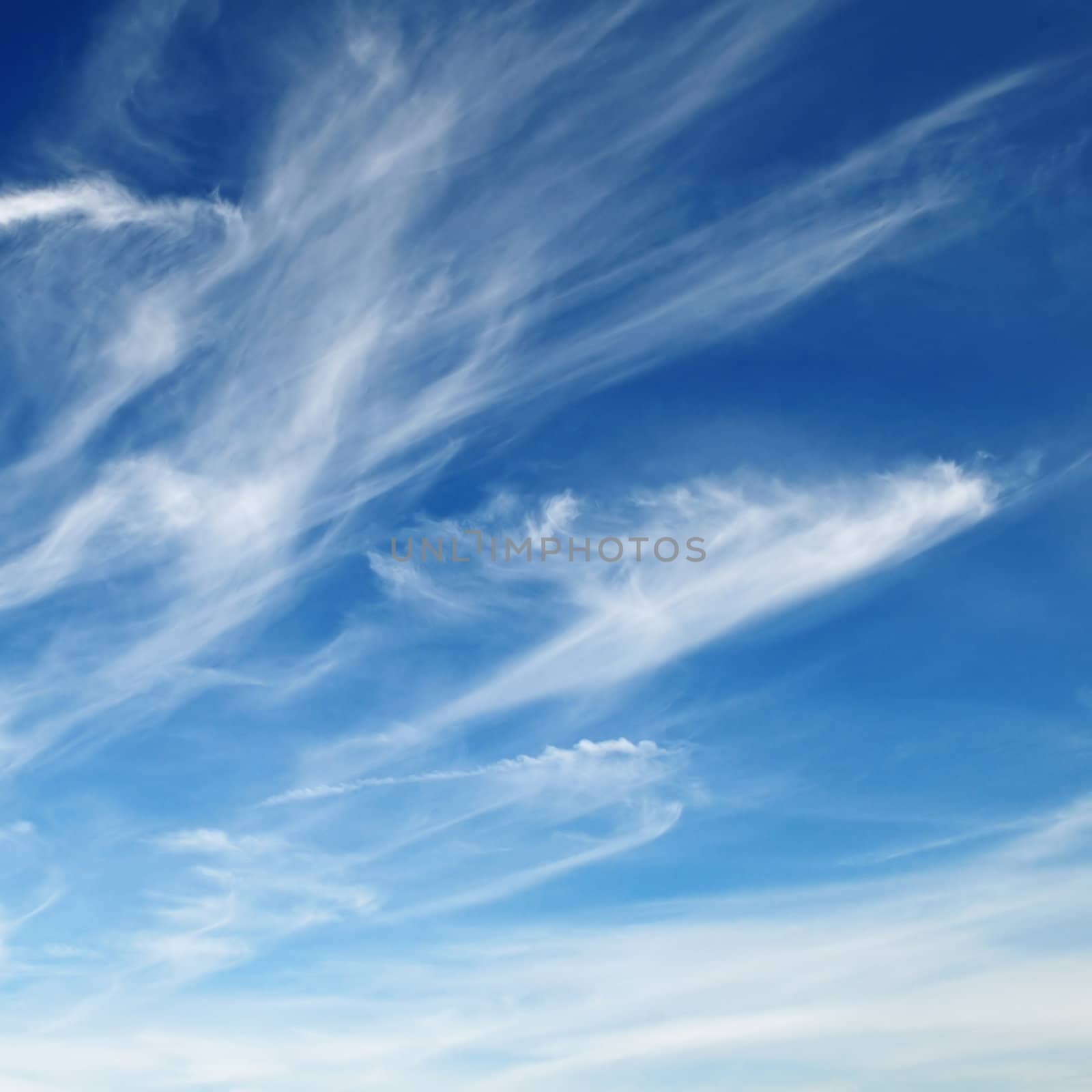 white fluffy clouds in the blue sky                                    