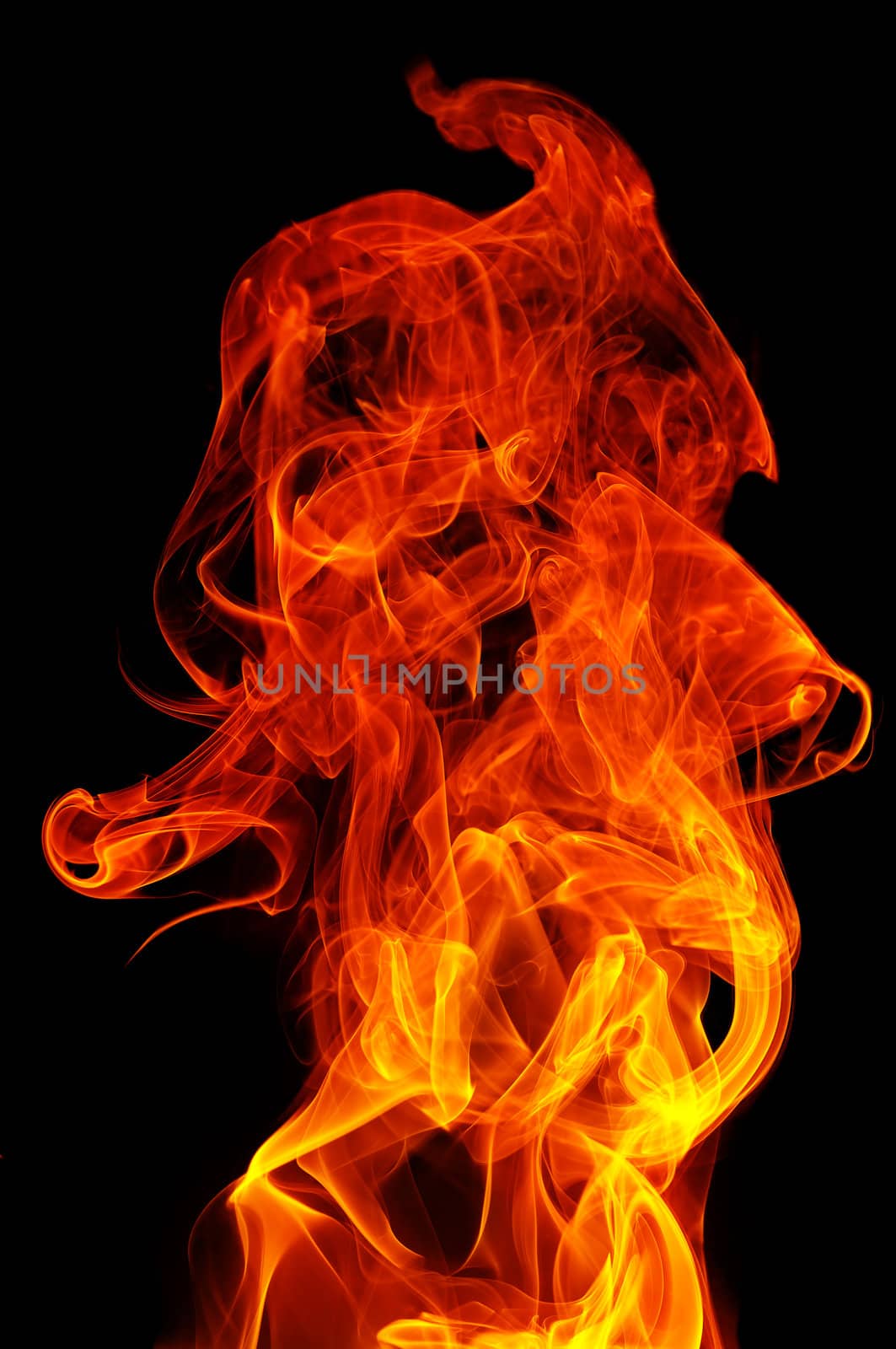 fire on a black background                                    