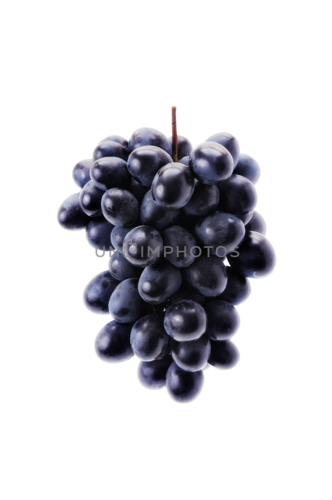 grapes isolated on a white background                                    