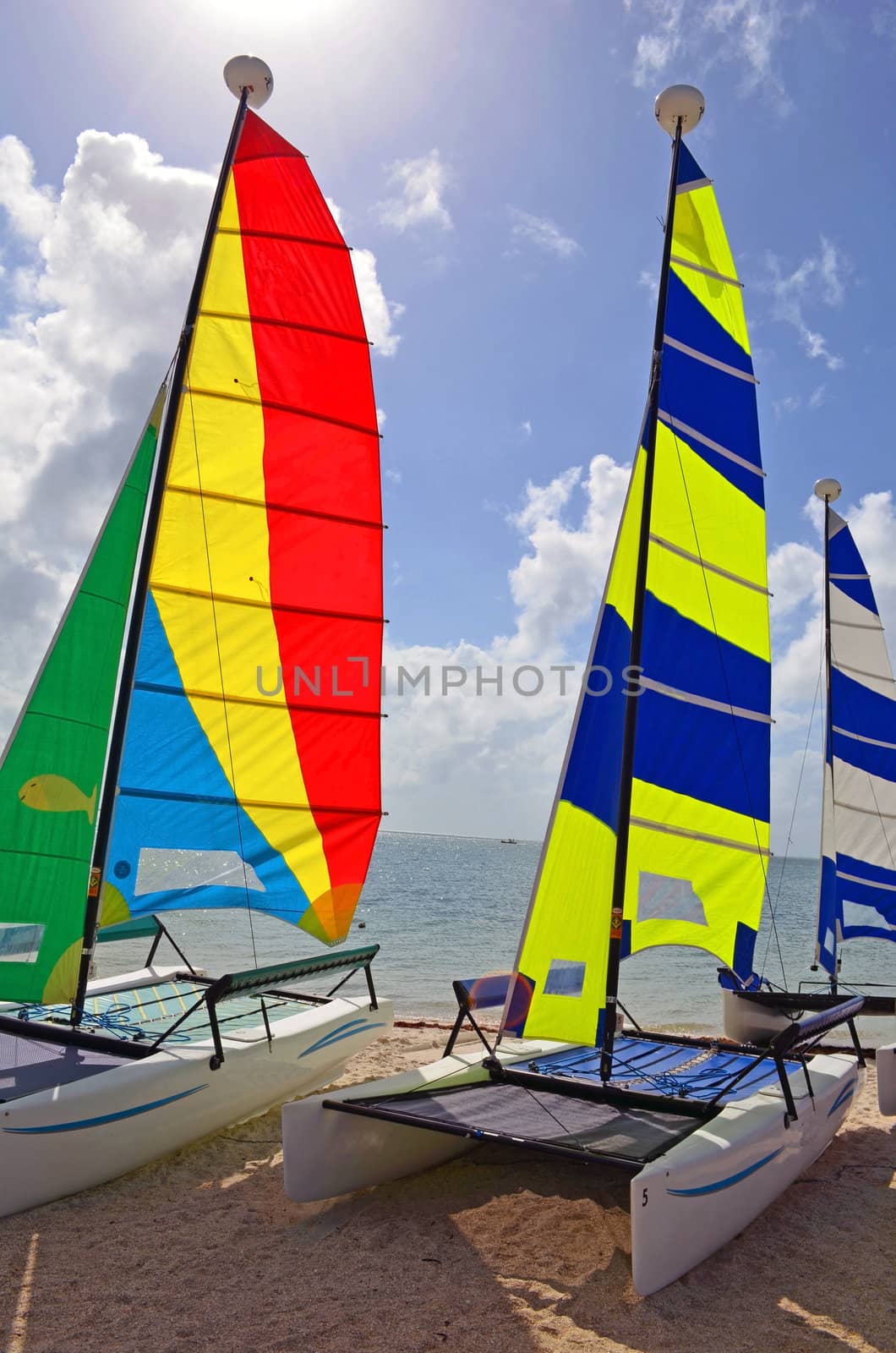 small sailing catamarans resting on a beach near key biscayne,florida