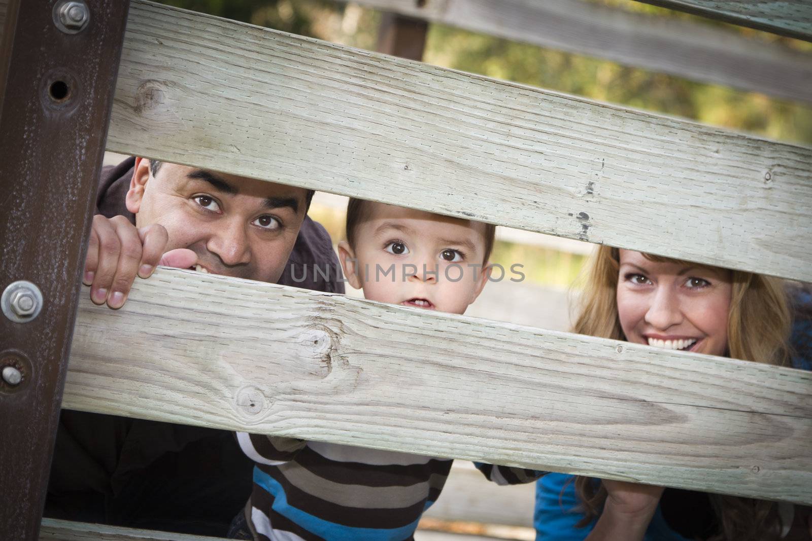 Happy Young Mixed Race Ethnic Family Looking Through a fence In The Park.