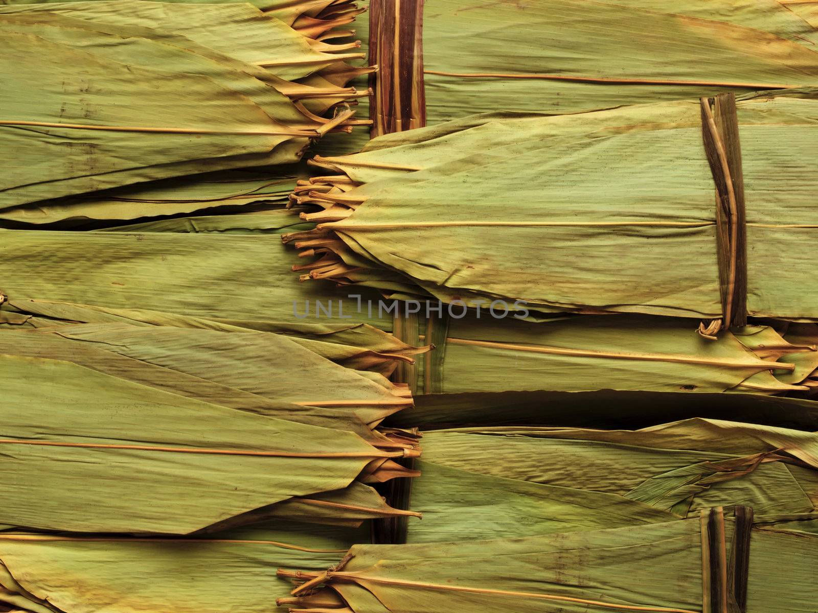 dried bamboo leaf for wrapping chinese meat dumplings by zkruger