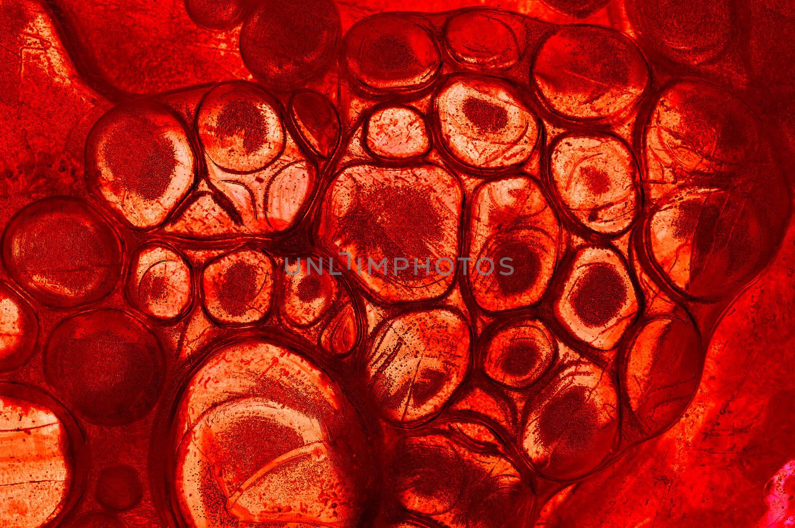 CLose-up of the inorganic matter