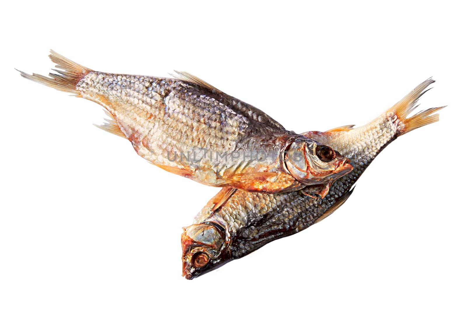 Composition from two dried fishes on a white background