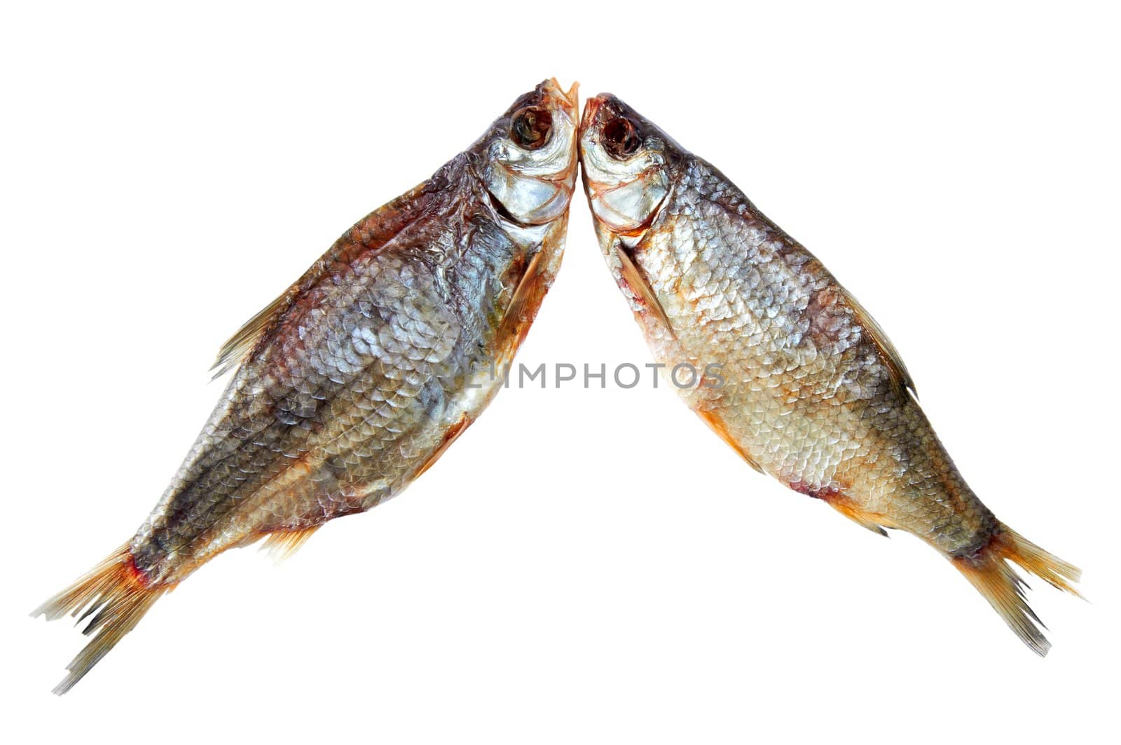 Composition from two dried fishes on a white background