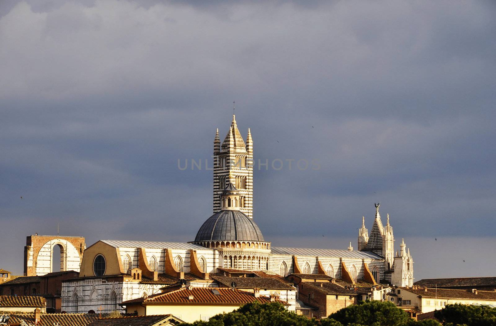 Sienna, Tuscany, Italy