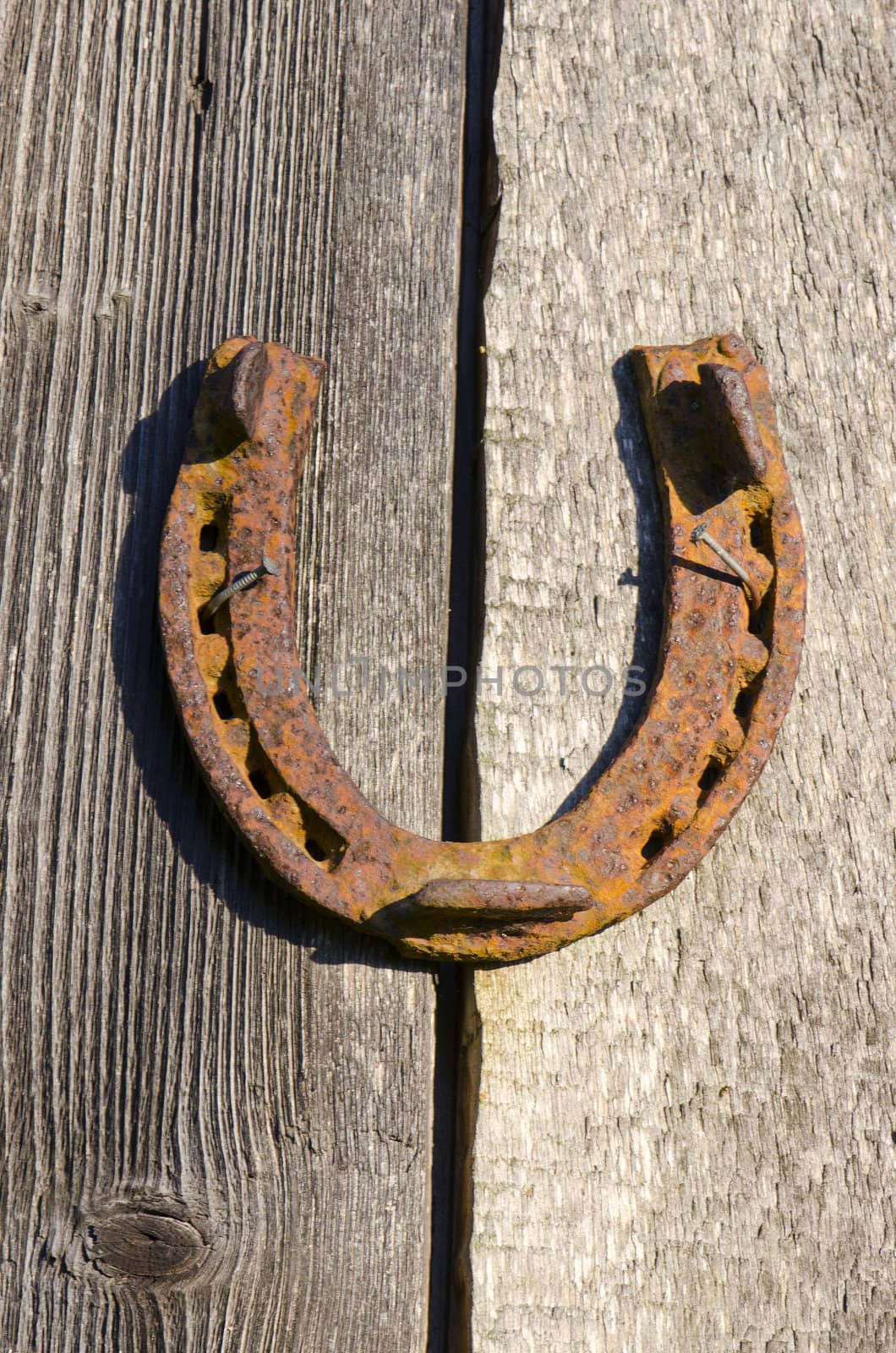 Rusty horseshoe nailed on old wall. Luck sign. by sauletas