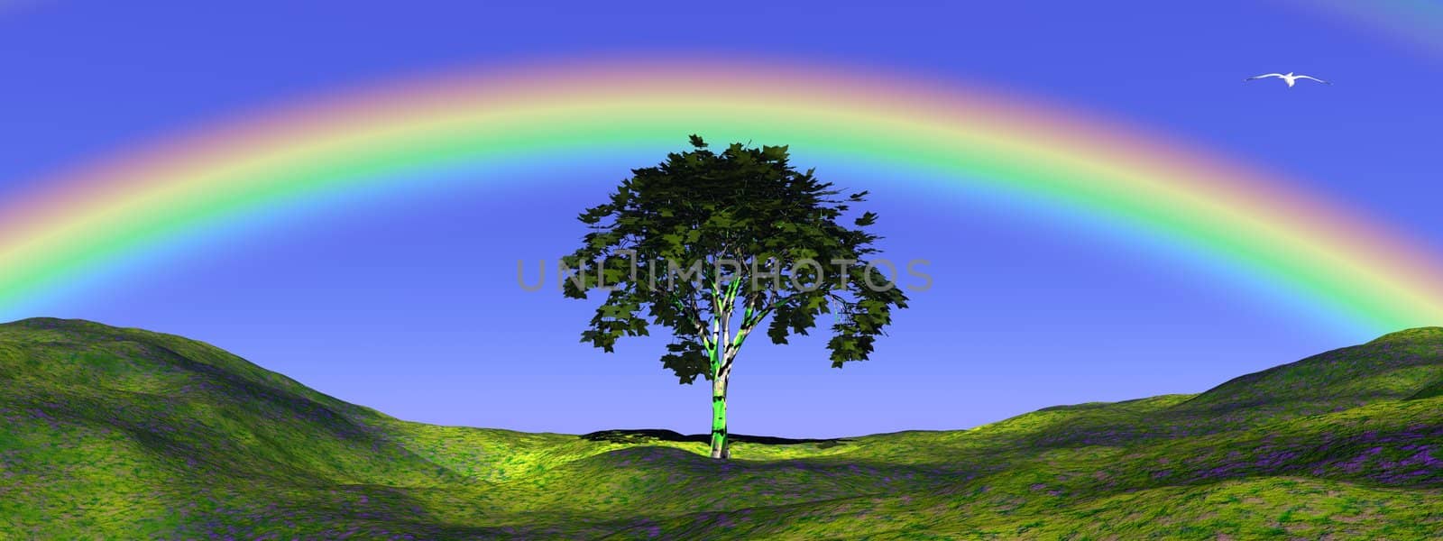 Summer tree on a green grass hill and under a beautiful rainbow
