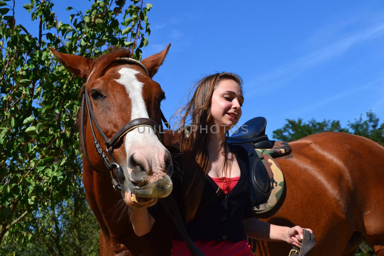 A young woman leading a brown horse at a horse farm.