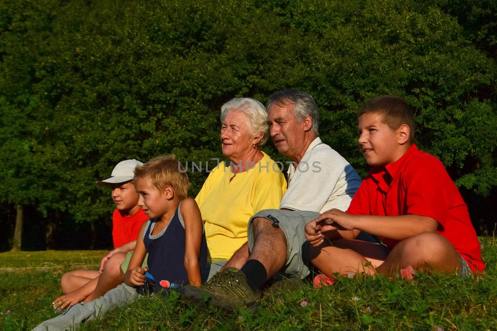 Senior couple and their grandchildren talking and relaxing in nature on a sunny afternoon, with trees in the background.