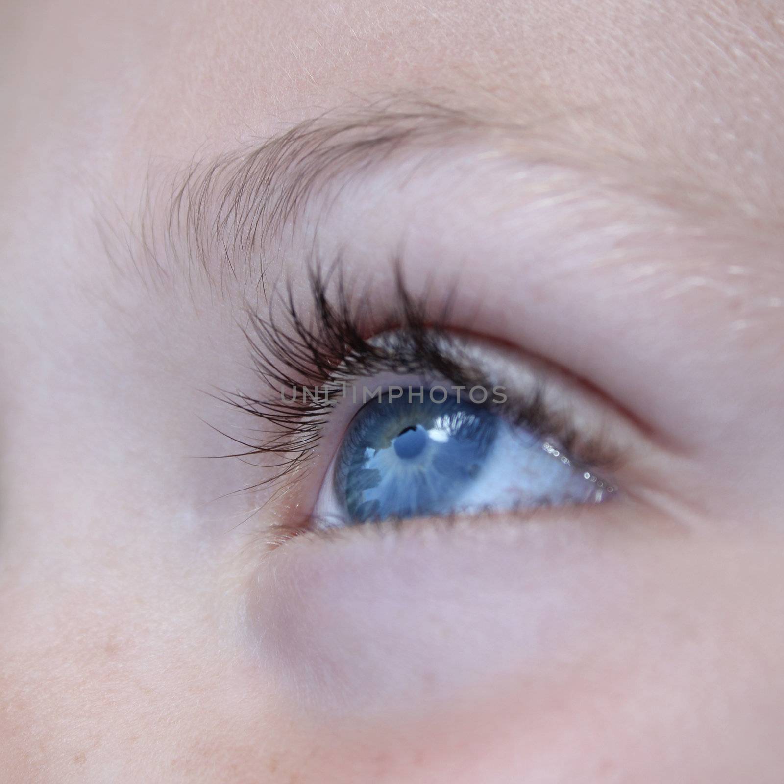 Close up of big blue eye with lashes