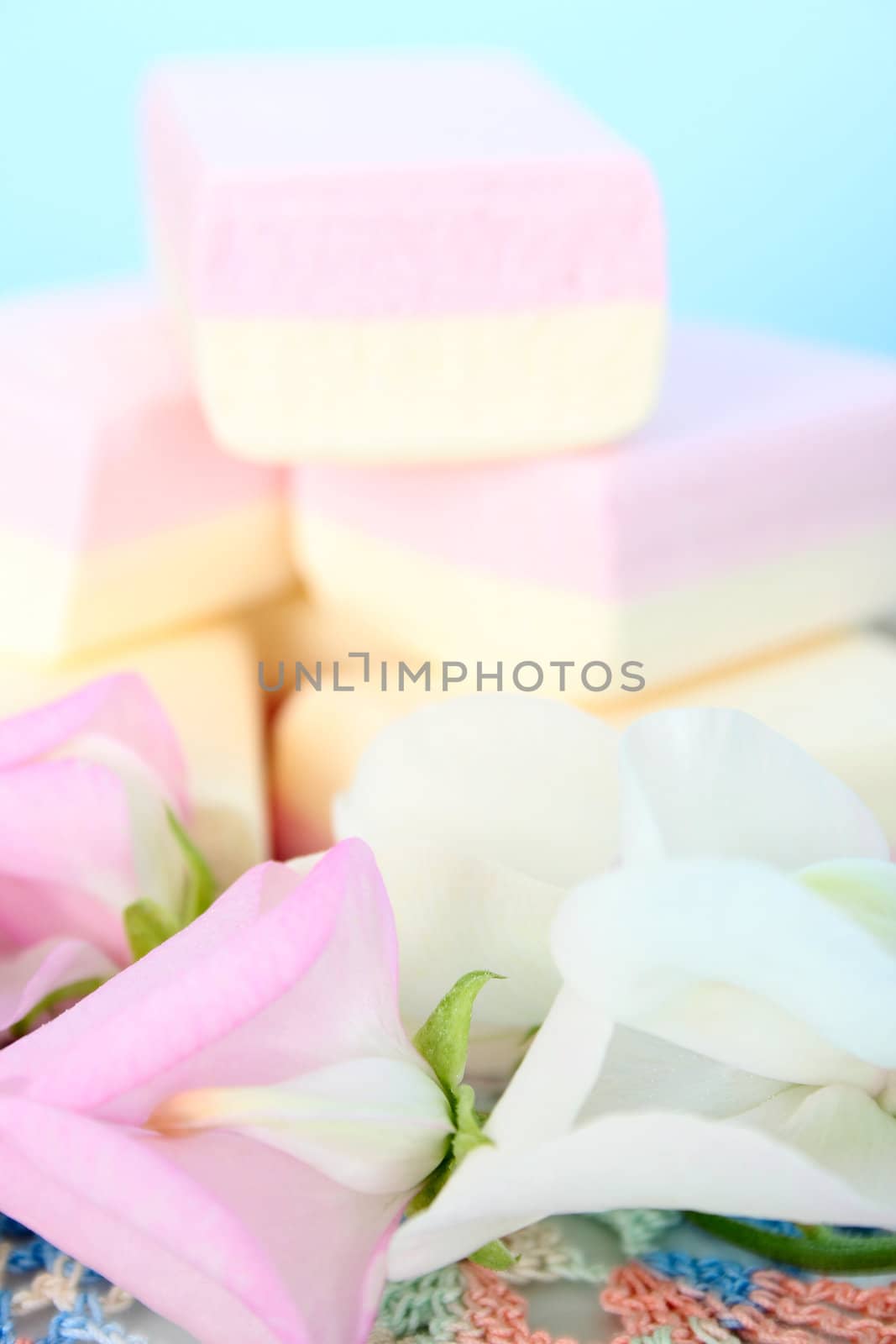 Sweetpea flowers infront of candy stack against blue