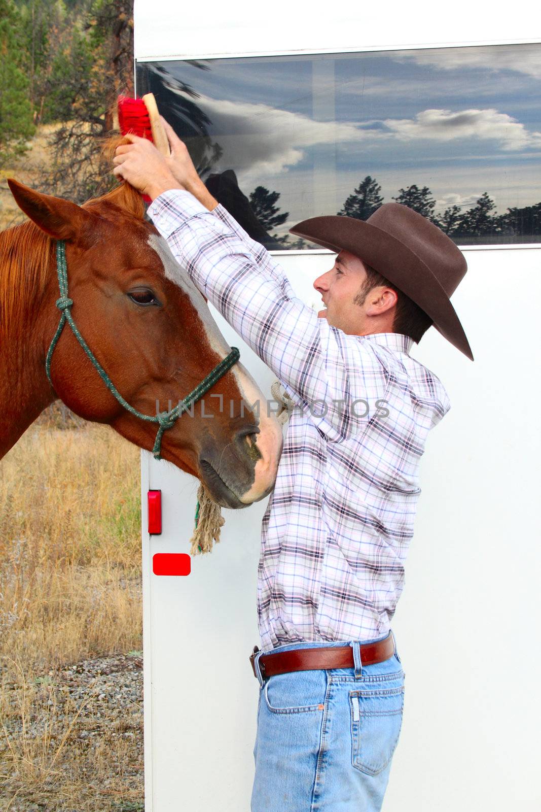Young cowboy grooming his horse at the trailor