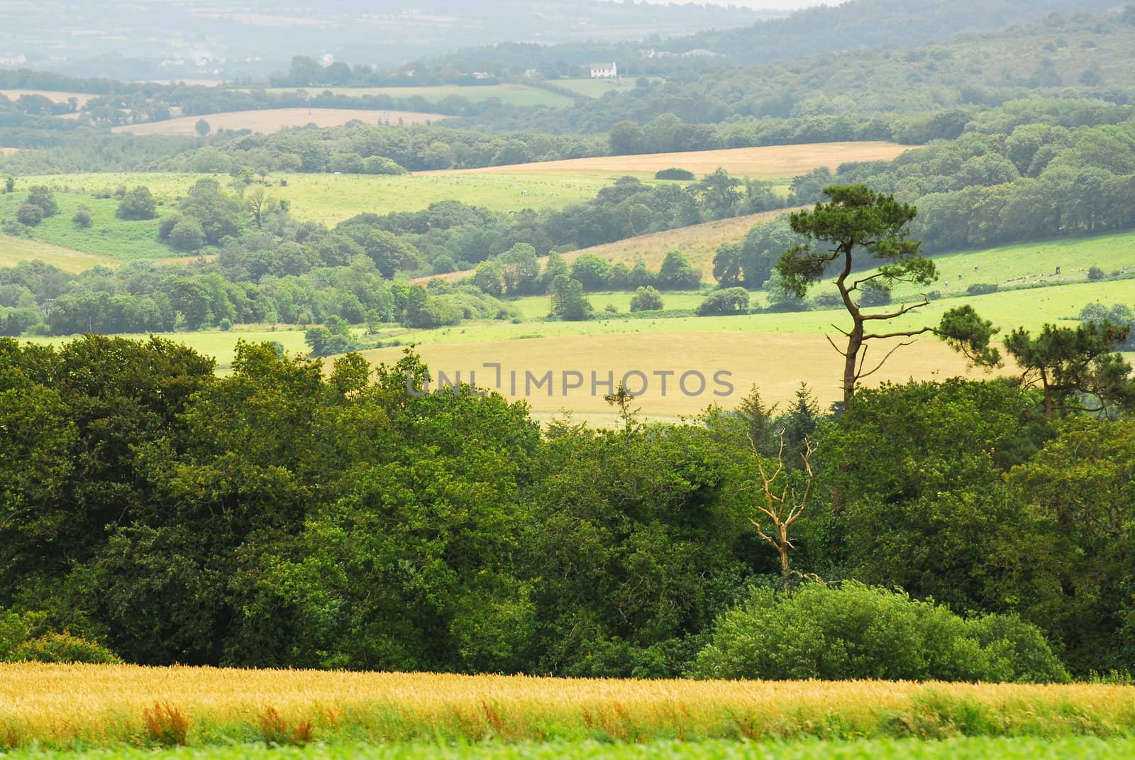 Scenic view on agricultural landscape in rural Brittany, France