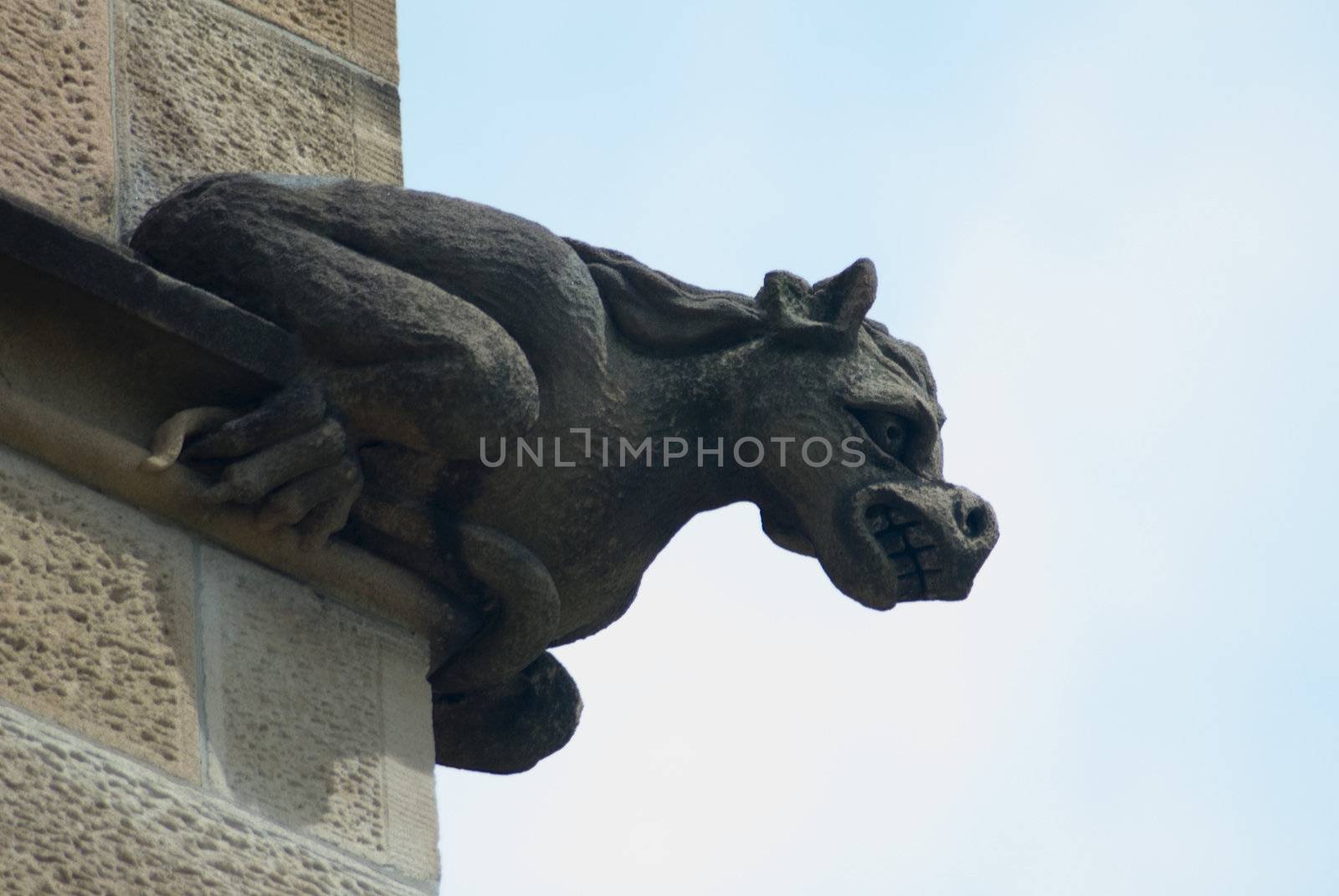 gargoyles stones on the side of the historic sydney university