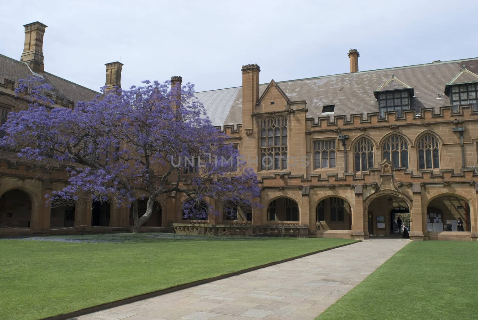 gothic revival architecture at sydney university, australia