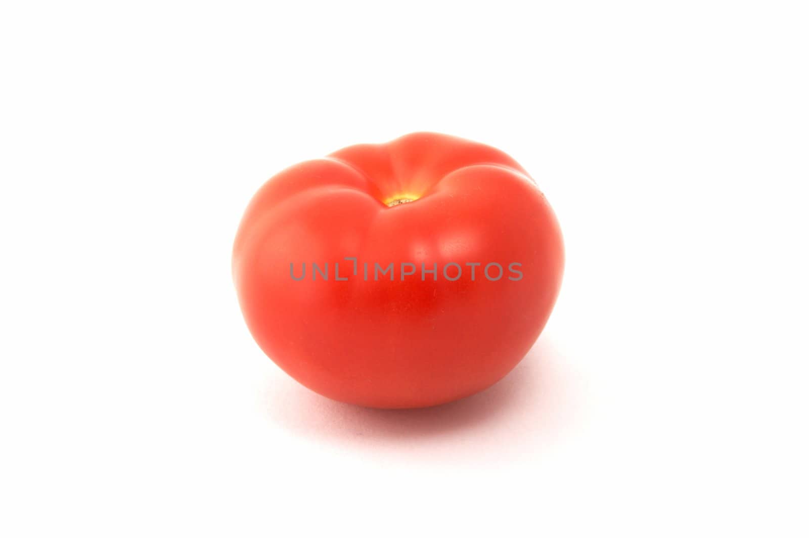 Red tomato by holligan78