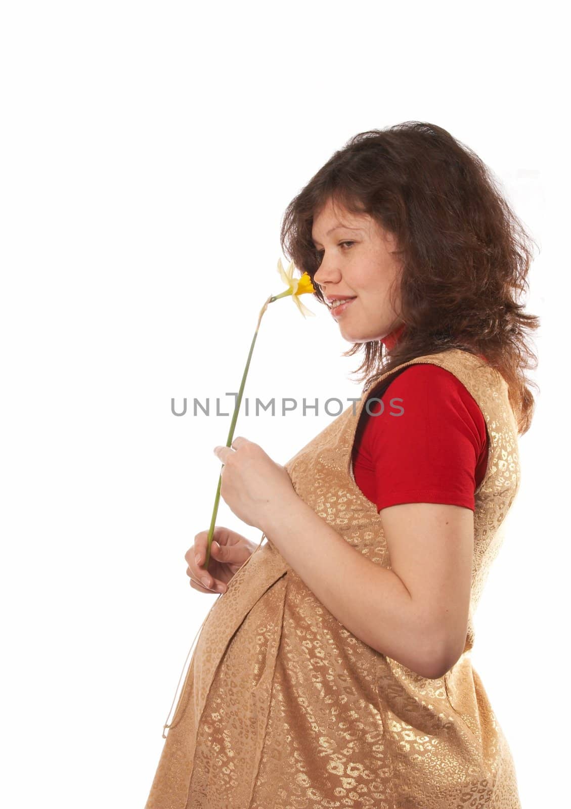 Portrait of the pregnant woman with a flower