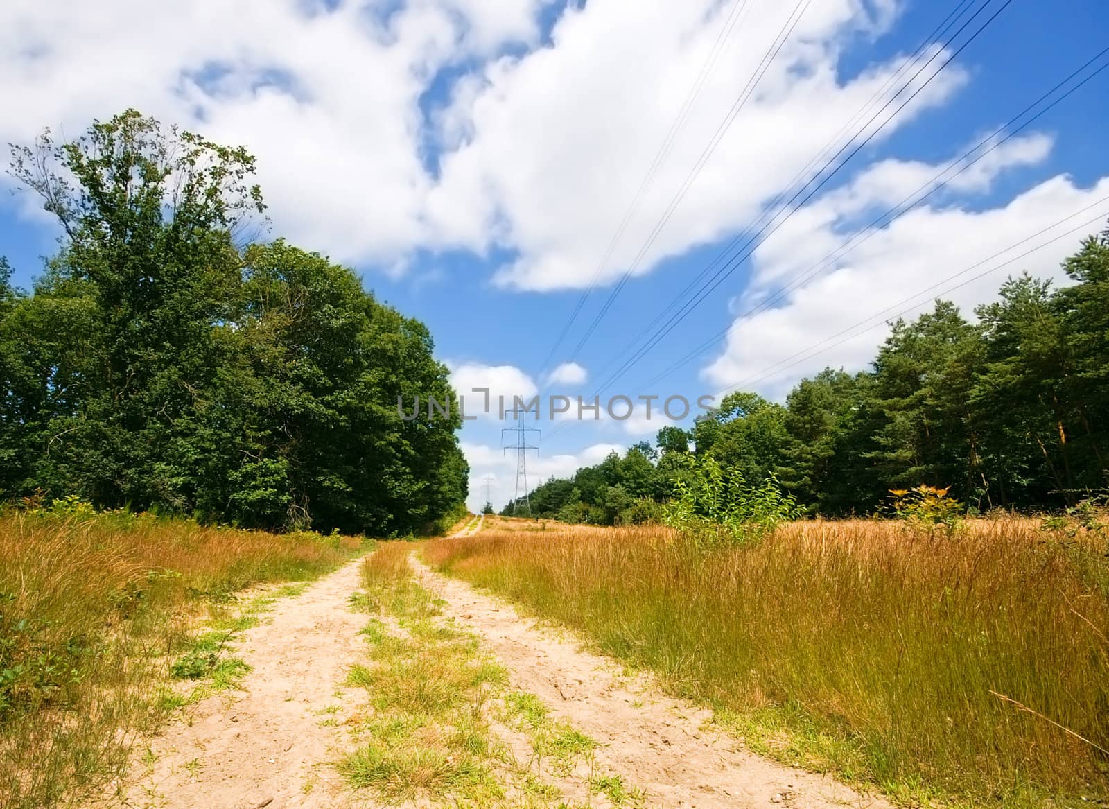 sand path in a rural environment with cloudy blue sky