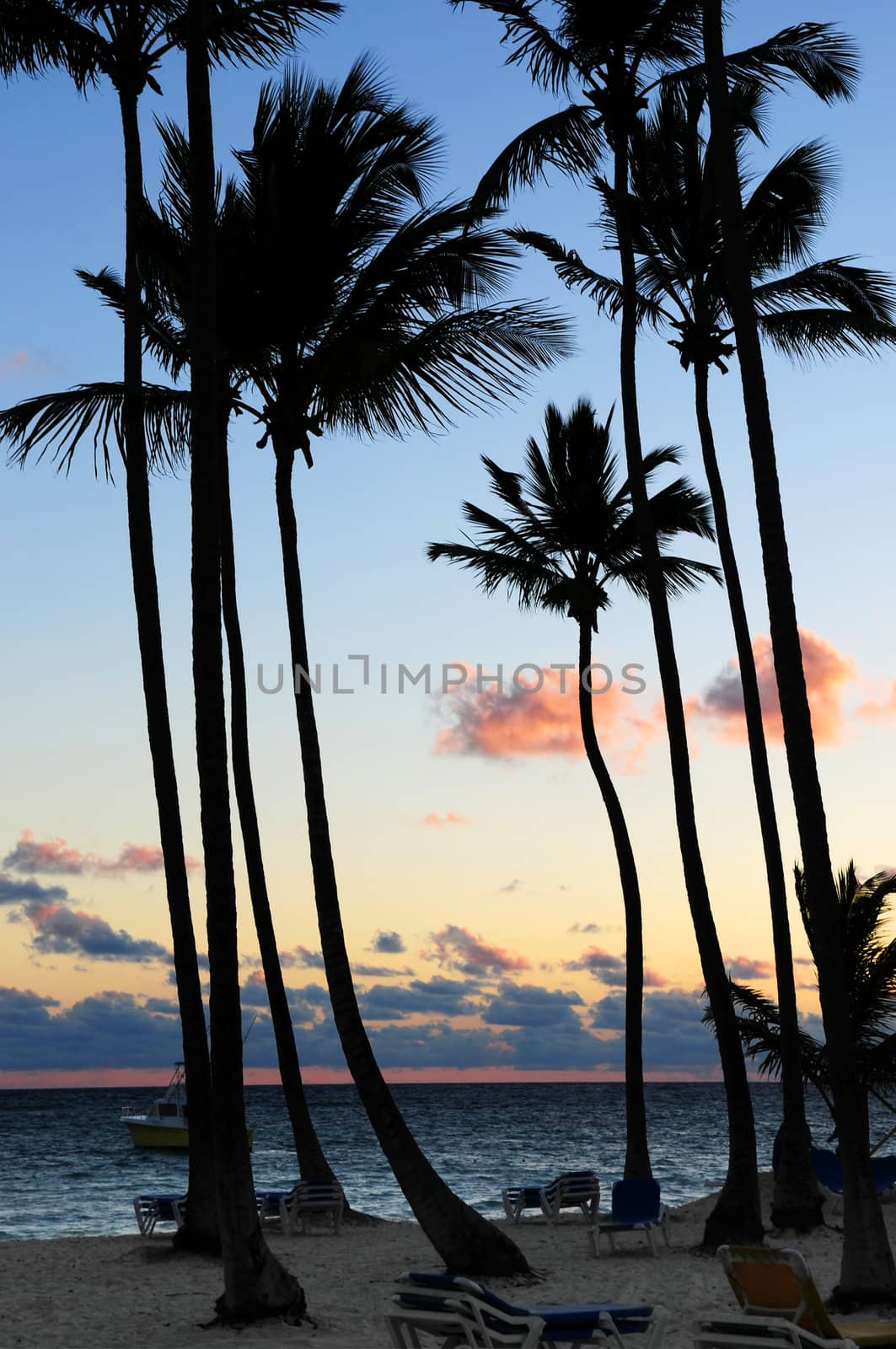 Palm trees silhouettes at sunrise at tropical resort