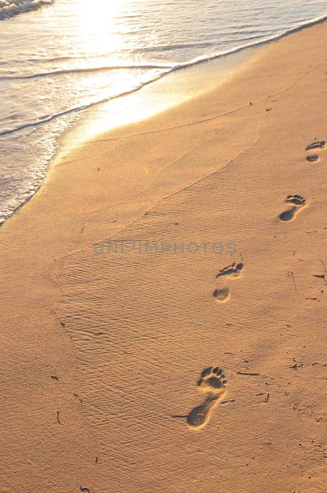 Footprints on sandy tropical beach at sunrise