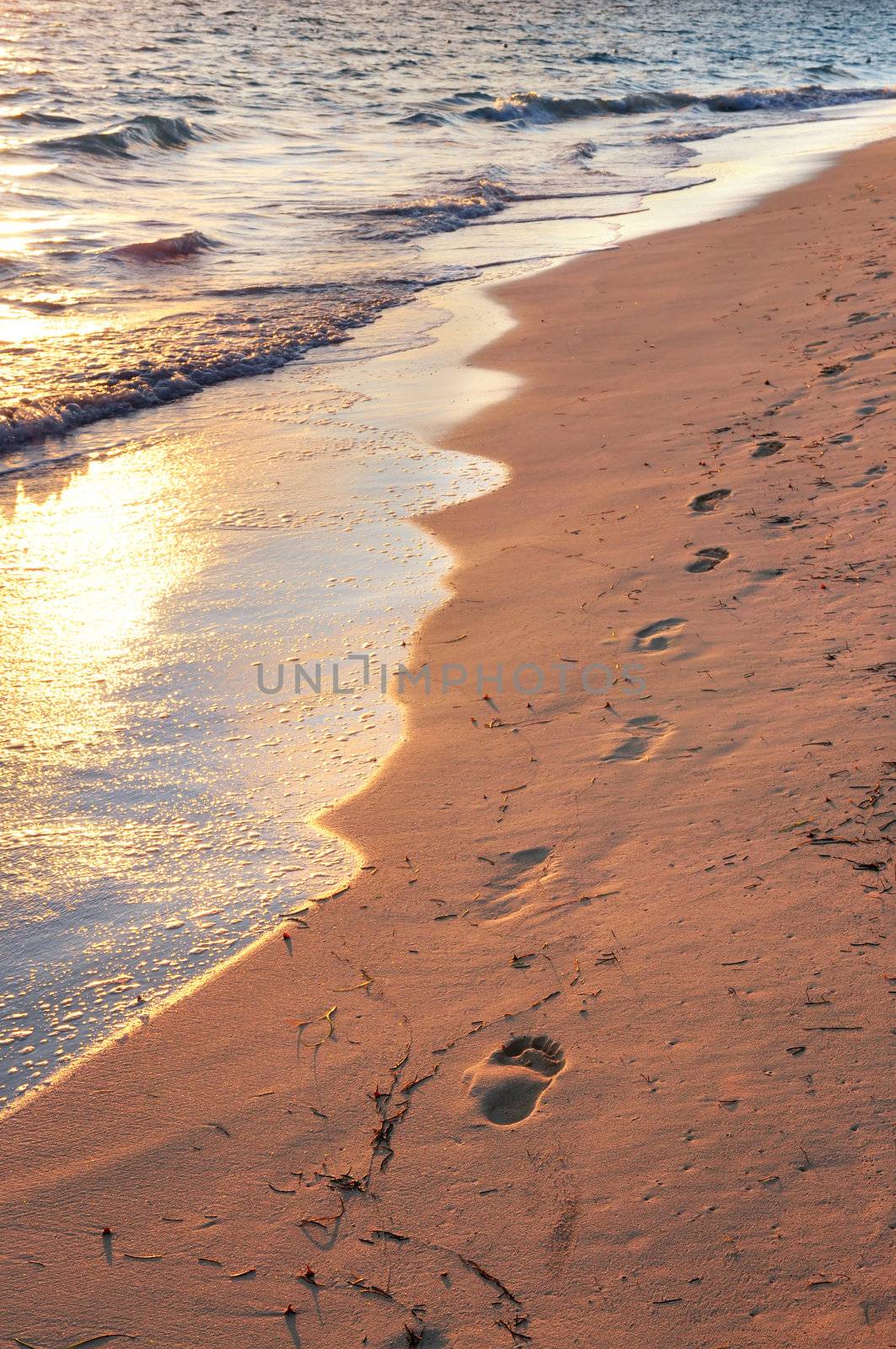 Tropical sandy beach with footprints at sunrise