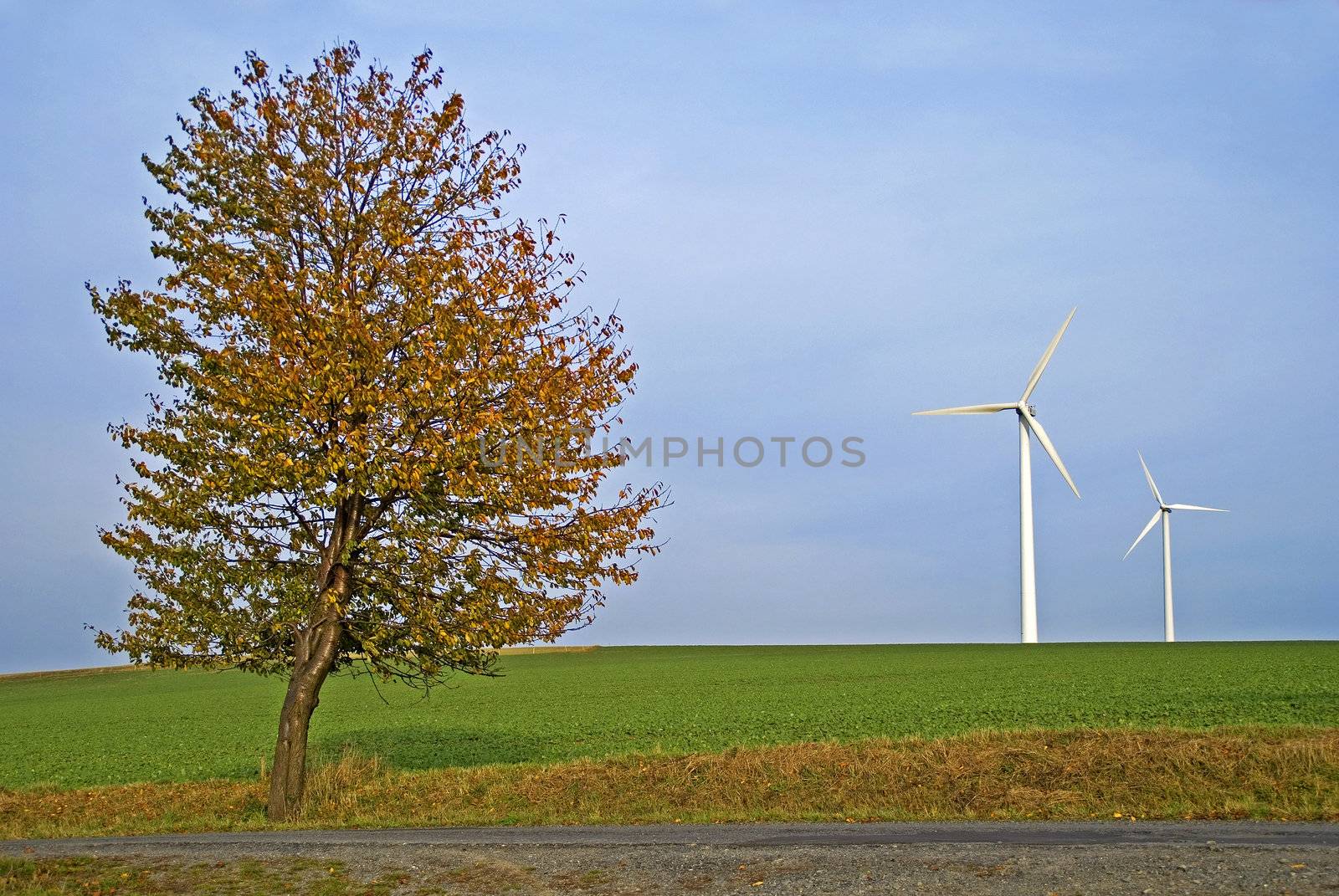 Field with autumn tree and two wind power plants