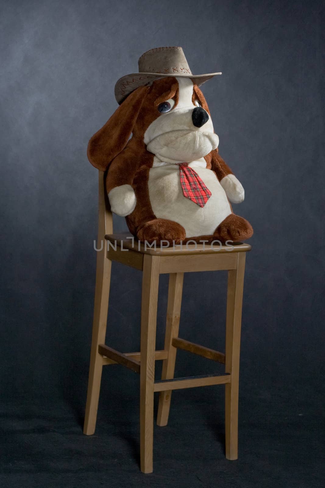 chair and toy with western hat by foaloce