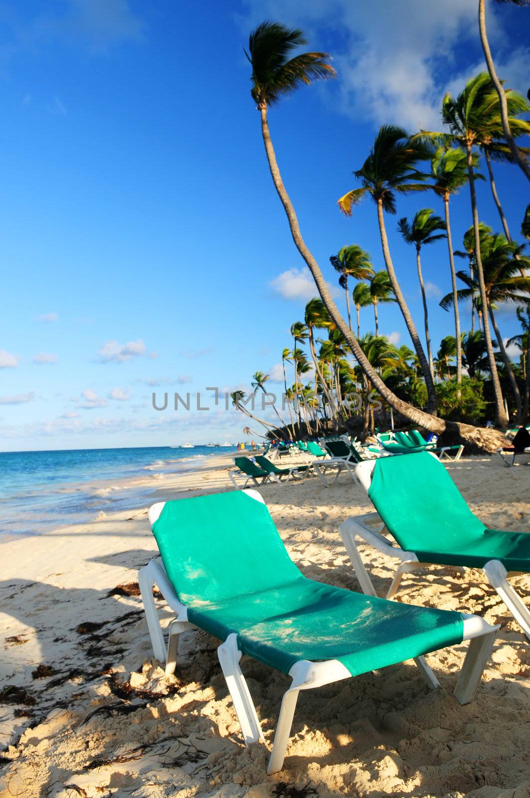 Sandy beach of tropical resort with palm trees and reclining chairs
