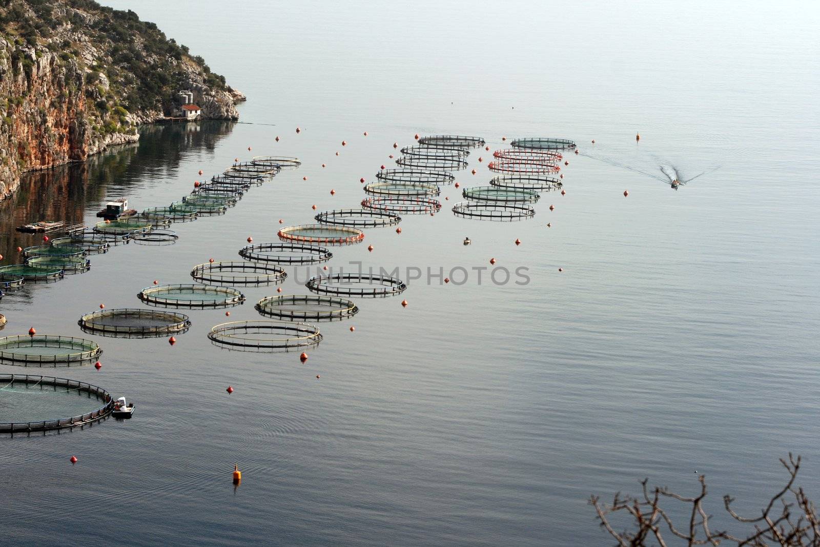 fish farm plant  nature and industry concepts