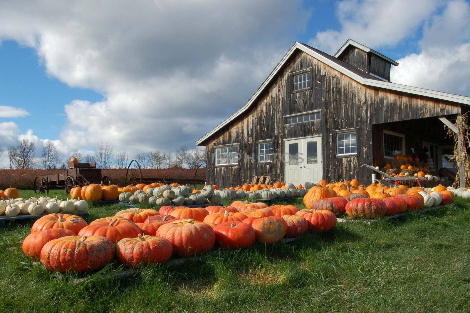 Pumpkin barn with dramatic sky/clouds