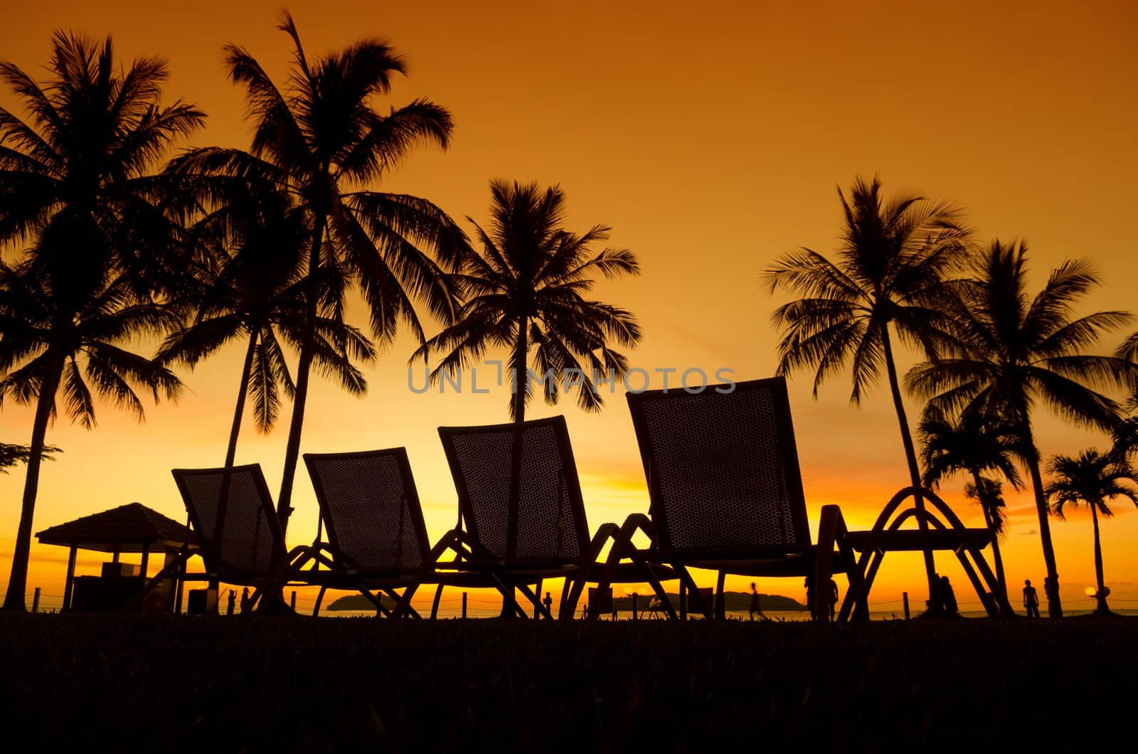 Row deckchairs on beach at sunset, Tanjung Aru, Malaysia.
