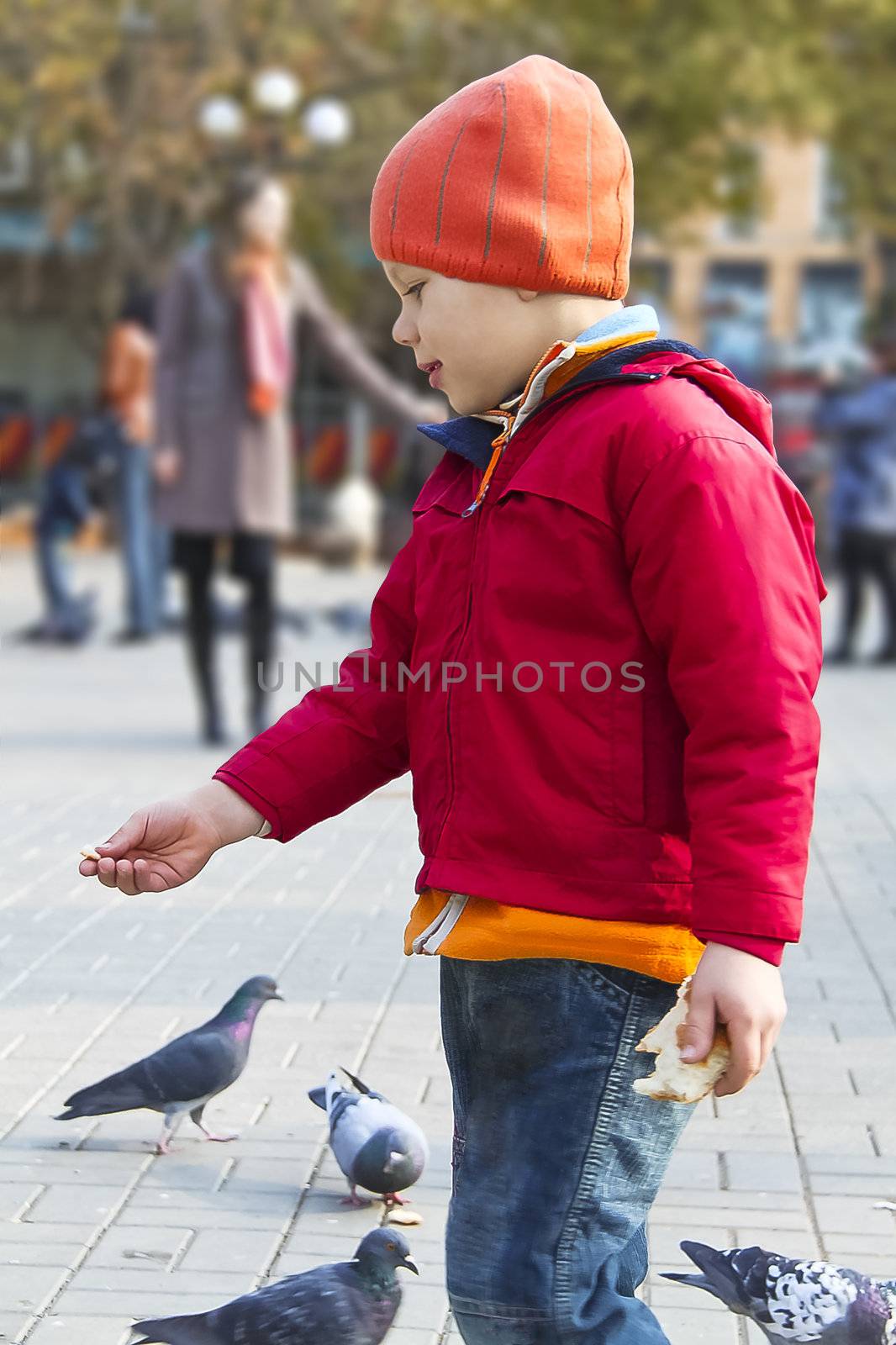 Kid throws bread to the pigeons autumn park