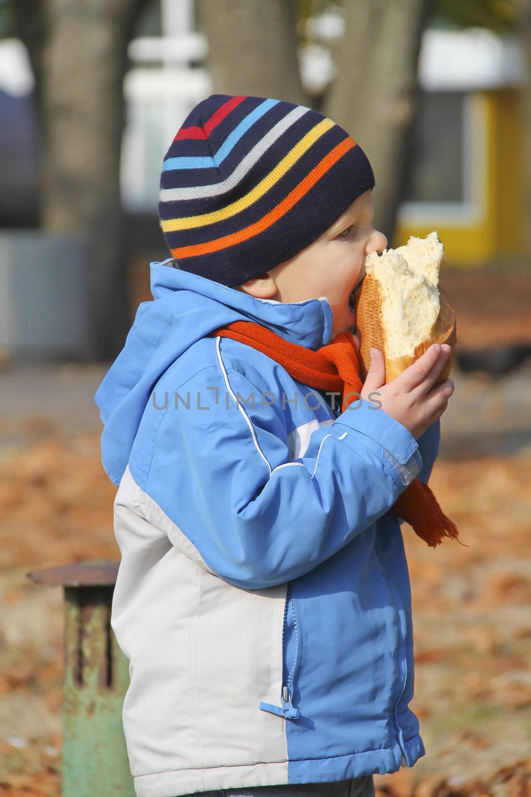 The kid eats bread during autumn walk in the park