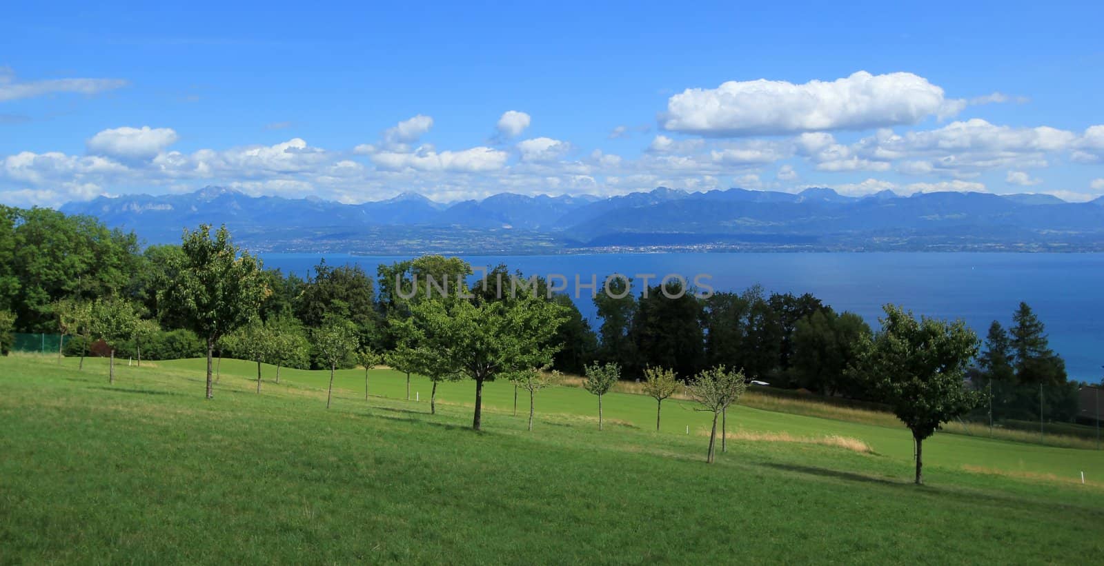 View of Geneva Lake and landscape of Vaud canton, Switzerland by Elenaphotos21