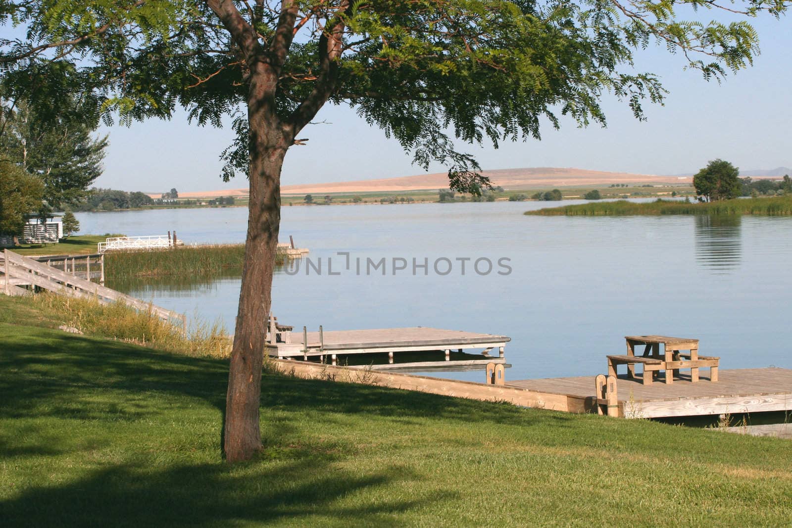 View of the Lake