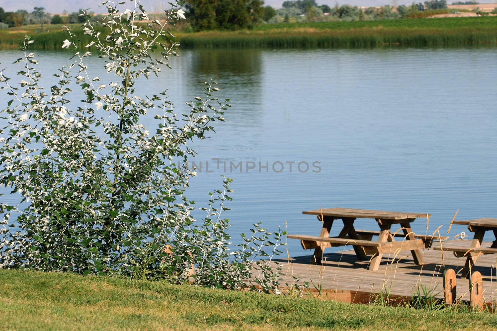 View of the lake