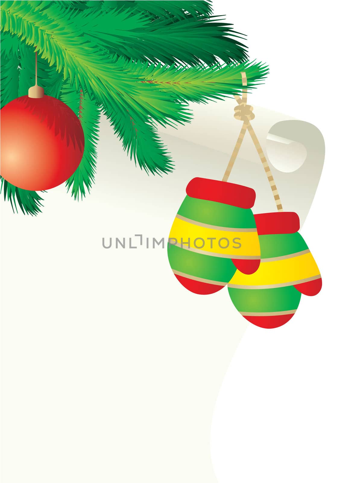 Christmas tree branches border over white 