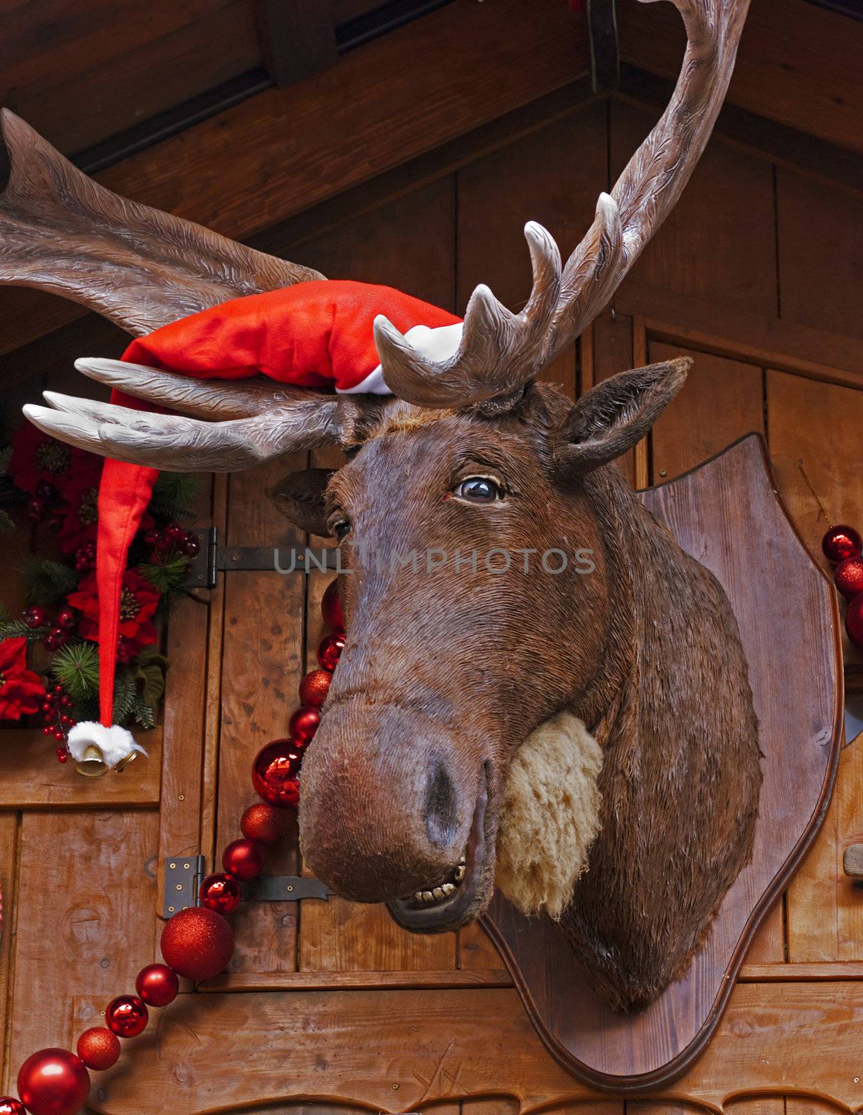 Elk in the Santa hat at the xmas market