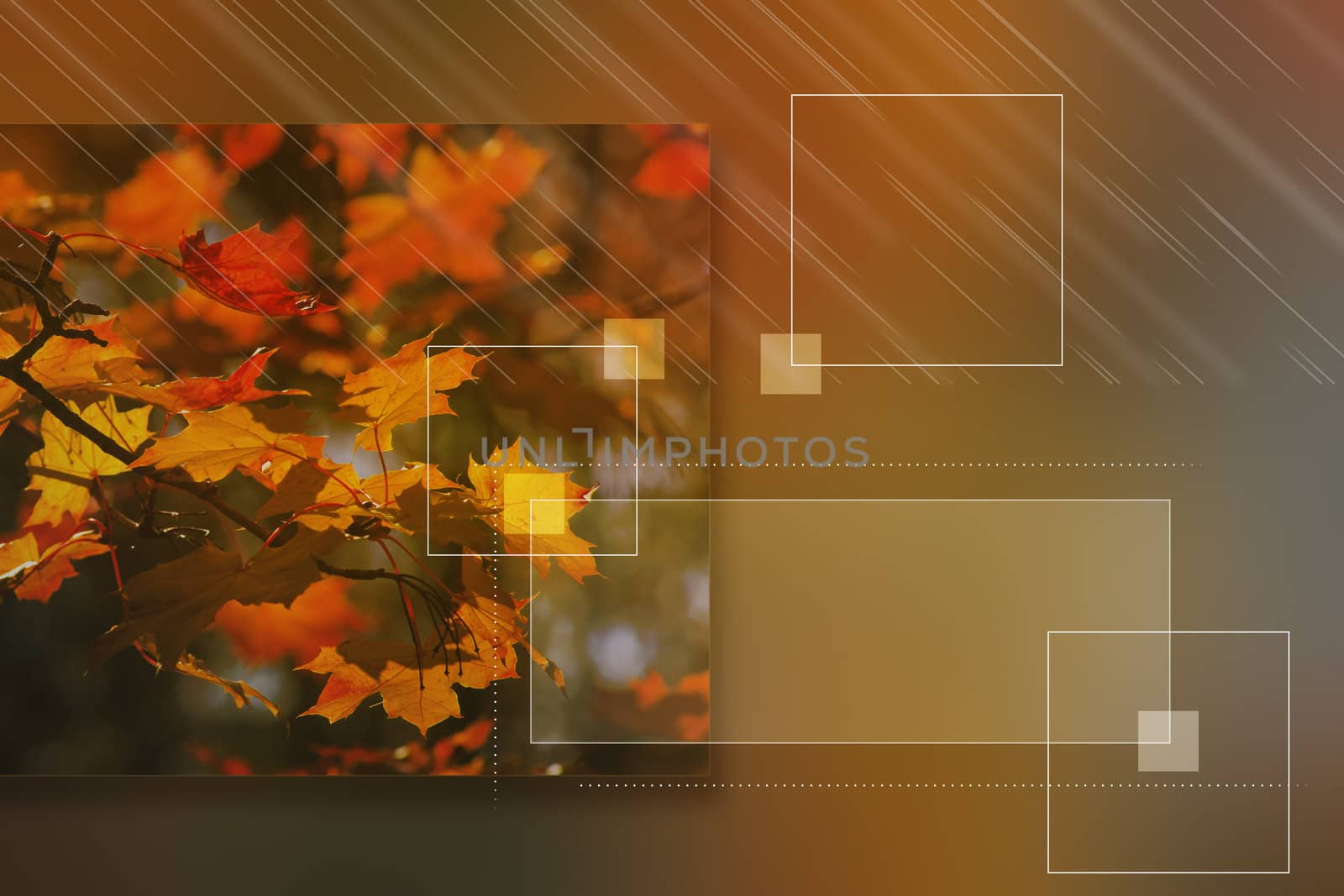 Autumn background by Raimundas