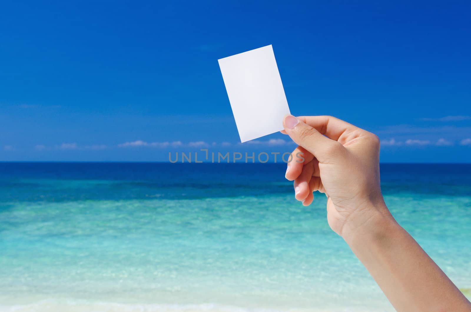 Hand Holding Blank Card, tropical beach as background