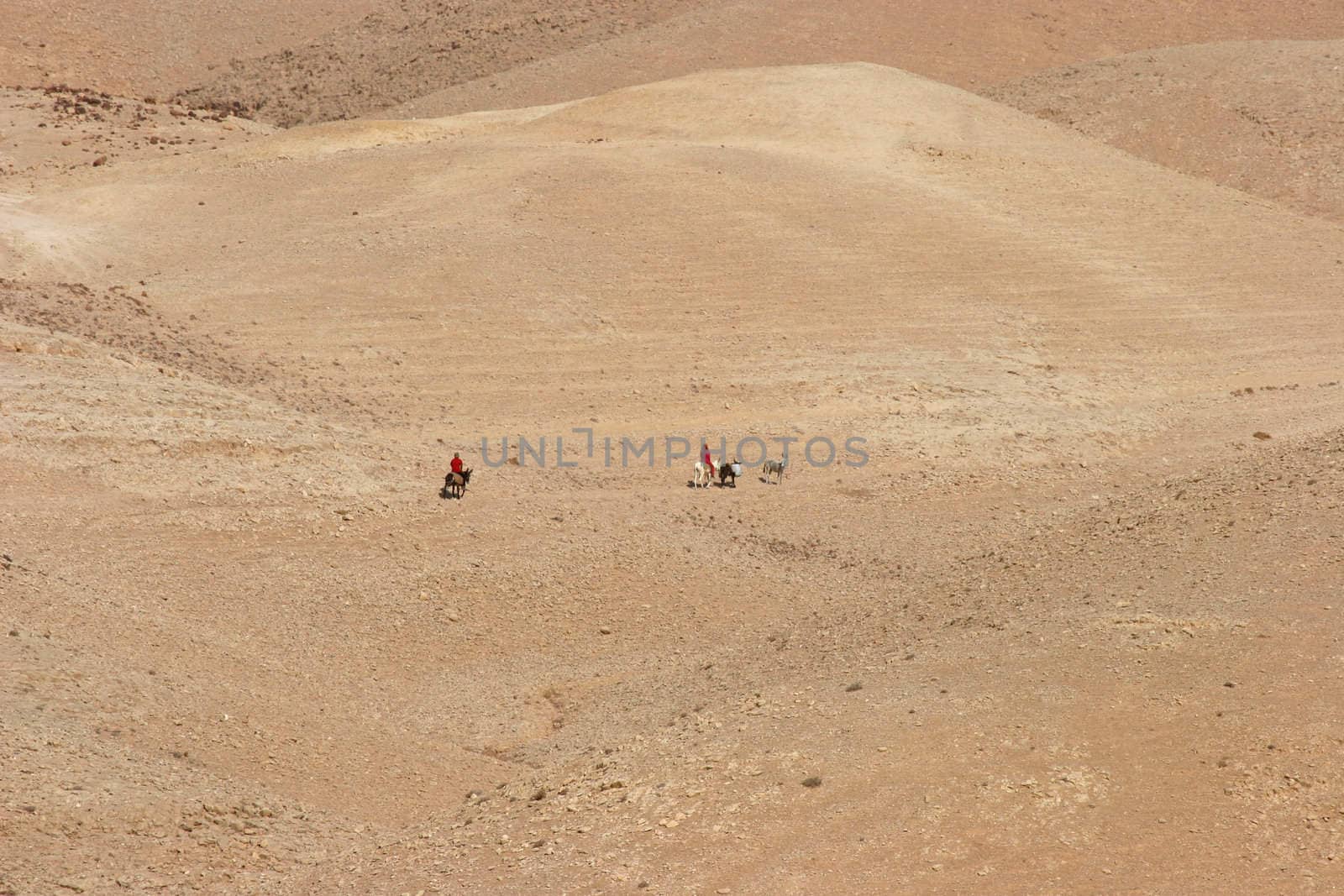 Bedouins in Judea desert