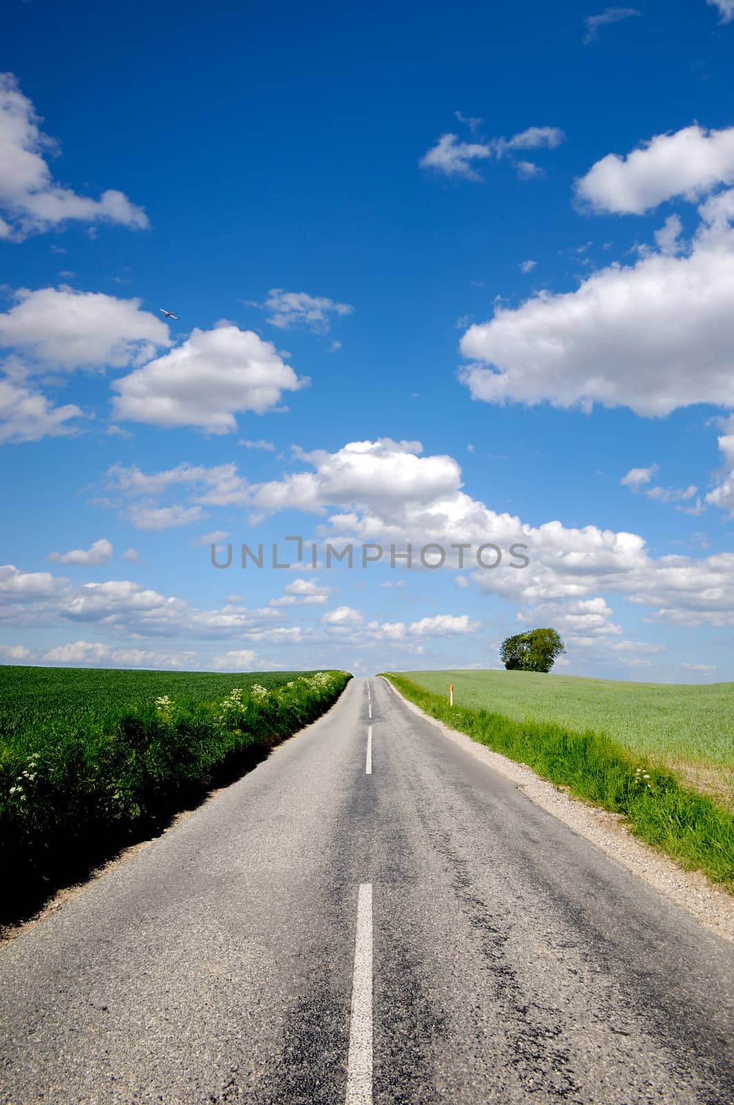 Road with surrounding green fields. The sky is blue with white clouds