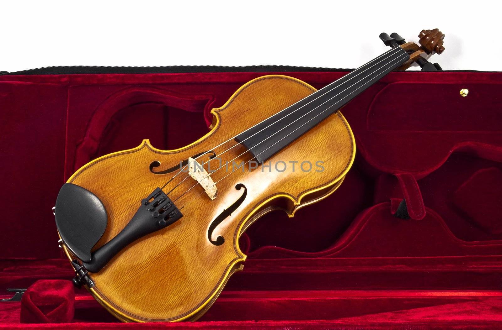 Italian wooden Violin in case box by rigamondis