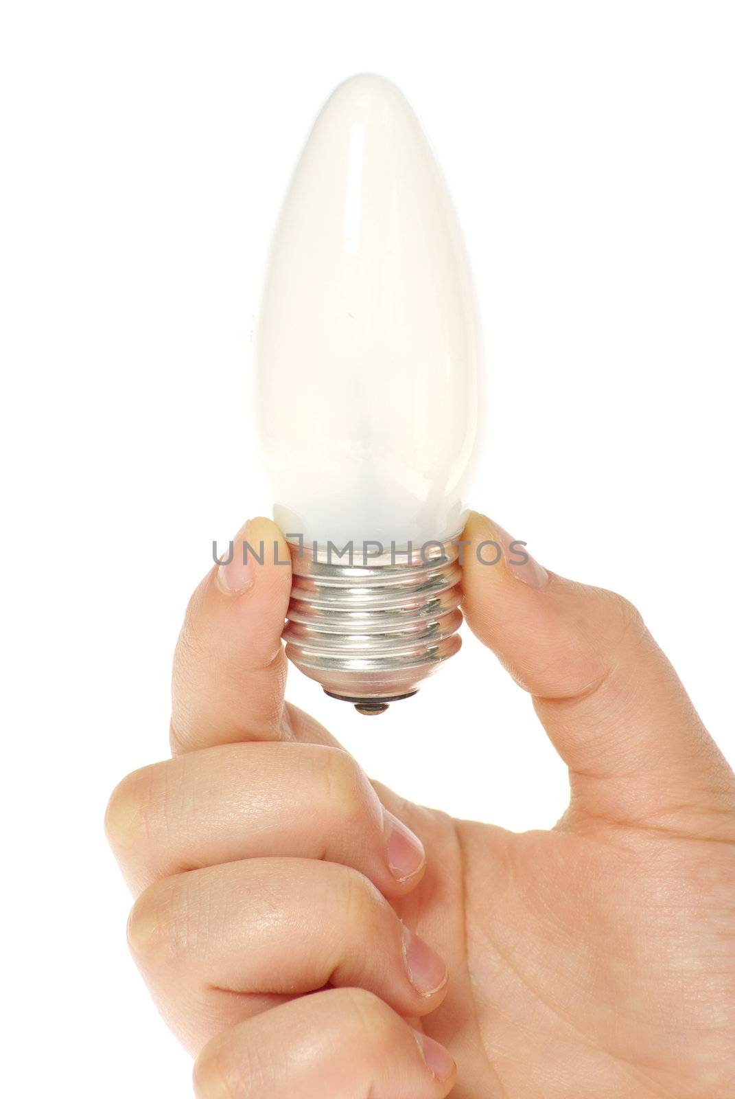  hand holding bulb isolated on white background