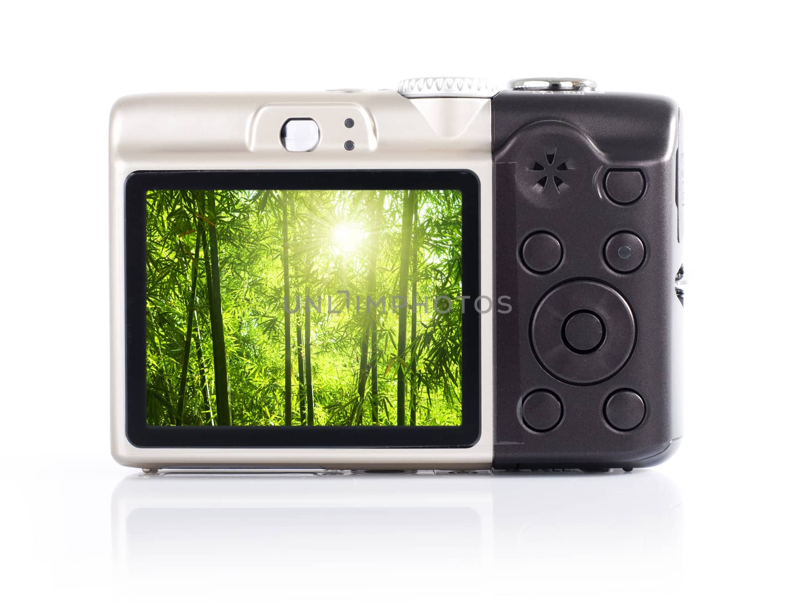 Photo display on camera LCD screen. The nature photo belongs to my own.